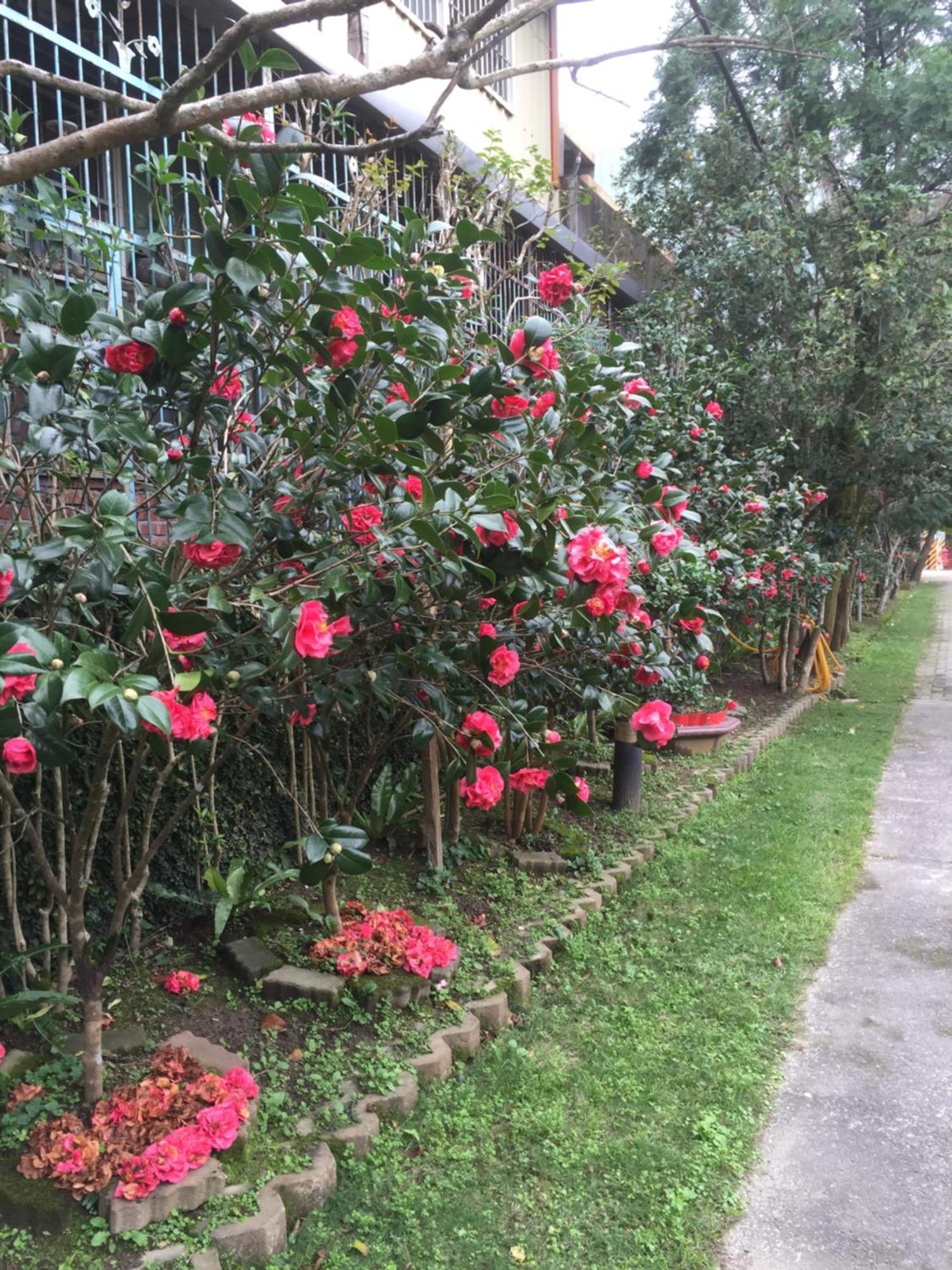 Yu Ho Yuan Lesiure Homestay Nanzhuang Exterior foto