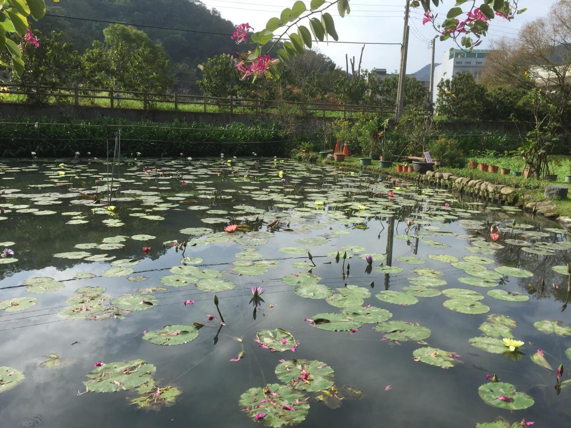 Yu Ho Yuan Lesiure Homestay Nanzhuang Exterior foto