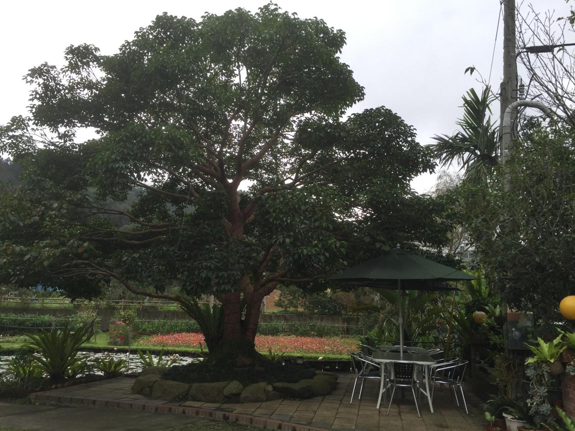 Yu Ho Yuan Lesiure Homestay Nanzhuang Exterior foto