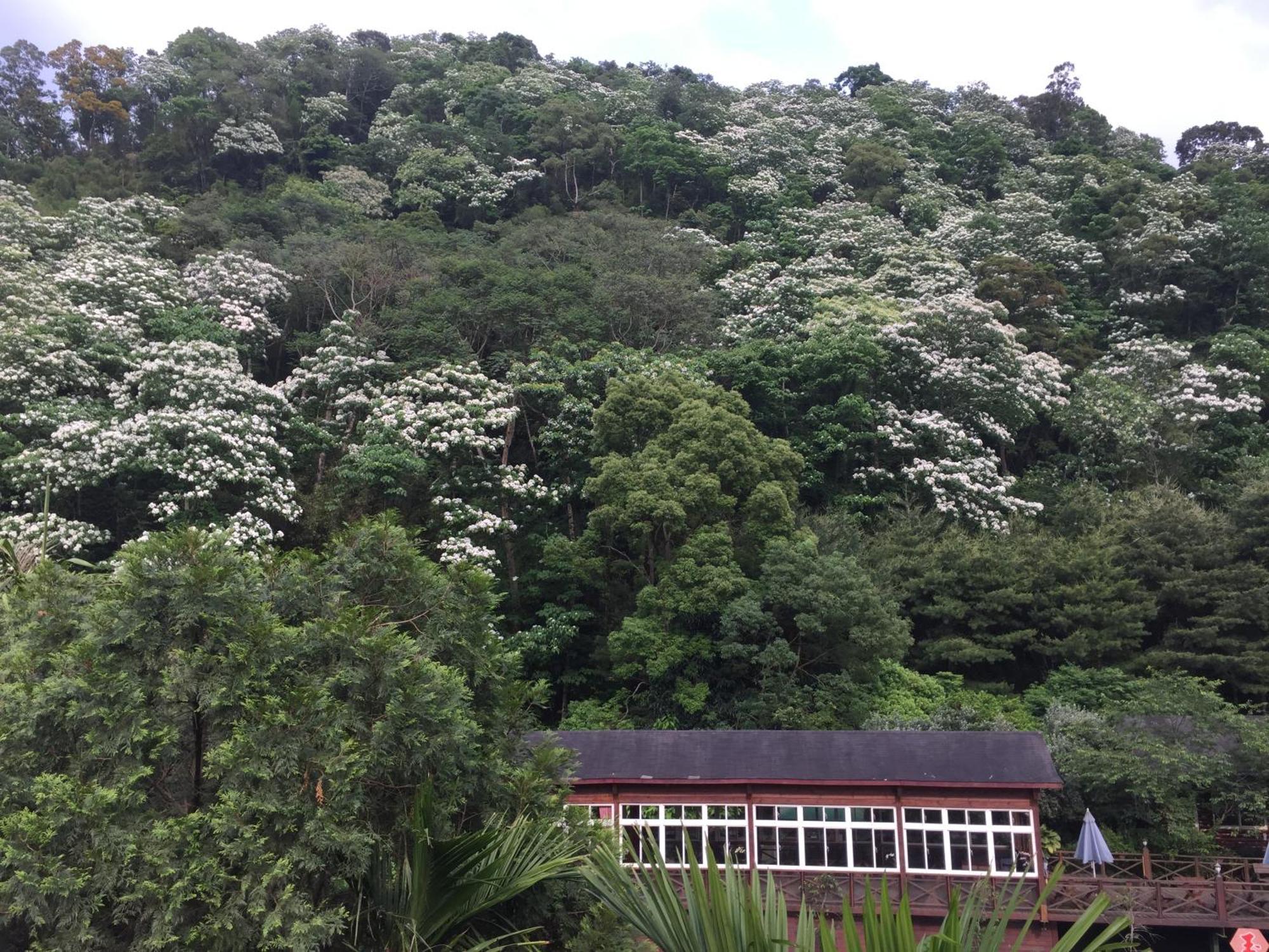 Yu Ho Yuan Lesiure Homestay Nanzhuang Exterior foto