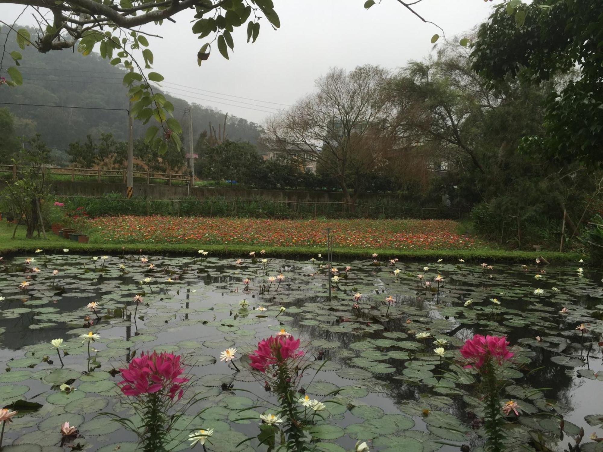 Yu Ho Yuan Lesiure Homestay Nanzhuang Exterior foto