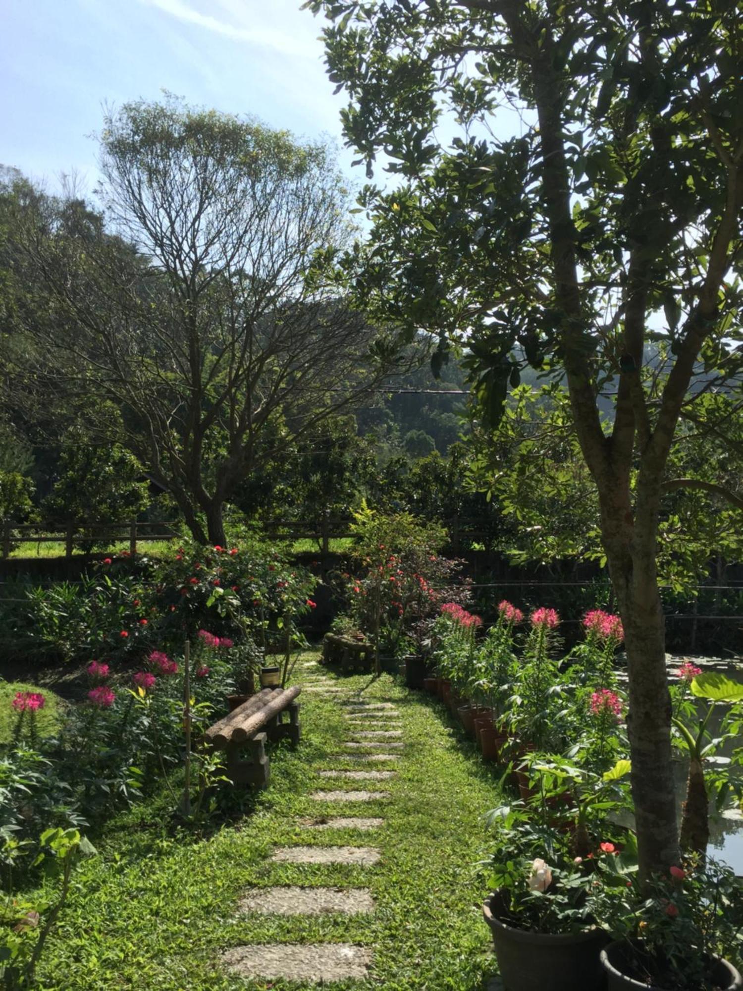 Yu Ho Yuan Lesiure Homestay Nanzhuang Exterior foto