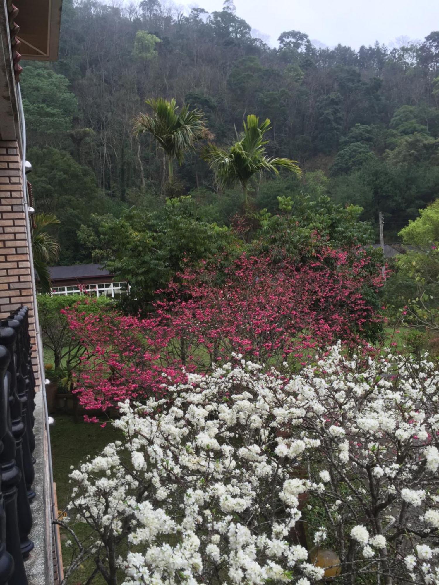 Yu Ho Yuan Lesiure Homestay Nanzhuang Exterior foto